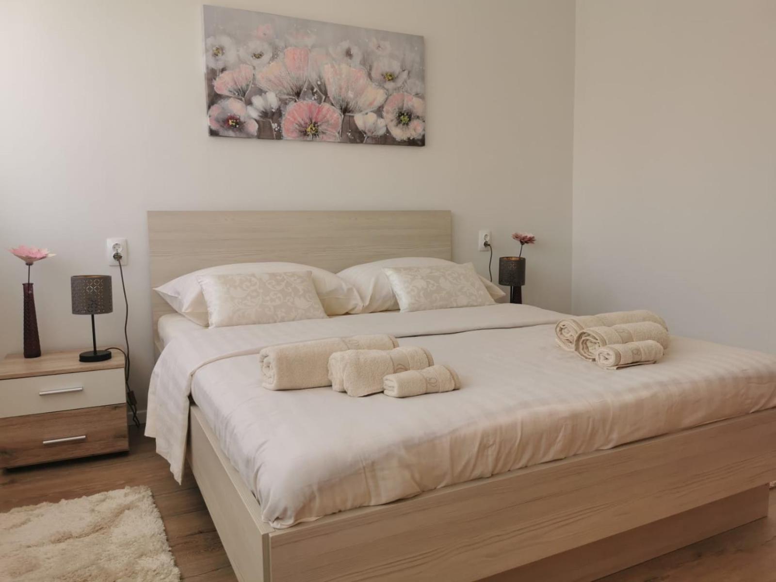 Apartman Spacious Mank3 Split